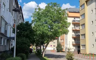 APARTAMENT 3 CAMERE | 2 BĂI | DECOMANDAT| PARTER | TEREZIAN - Poză 17
