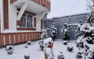 Vila 9 camere***gradina cu pomi fructiferi//1085 mp teren***Dragomiresti-Deal - Poză 29