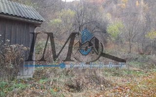 Teren extravilan direct la șoseaua TRANSALPINA - Poză 4