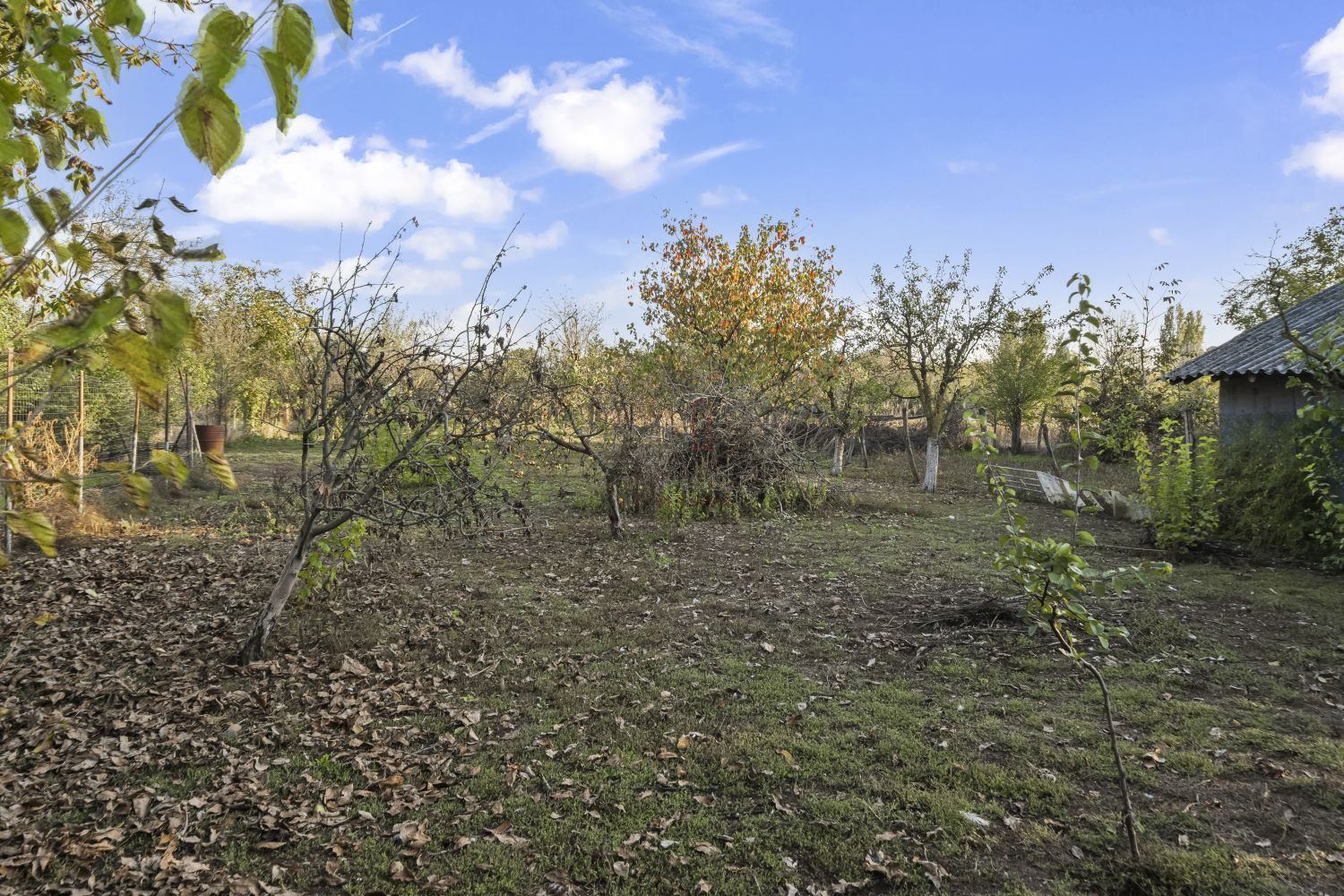 Comision 0% 2 case Vila + Spatiu Comercial + Curte Proprie - Poză 34