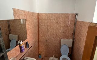 Casă de vânzare în Călanul Mic –  2 clădiri, curte, grădină, garaj - Poză 14
