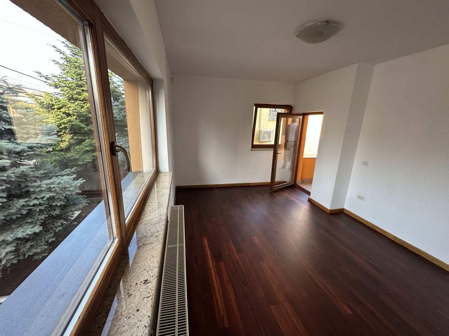 Proprietate cu piscina Dumbravita - Poză 27