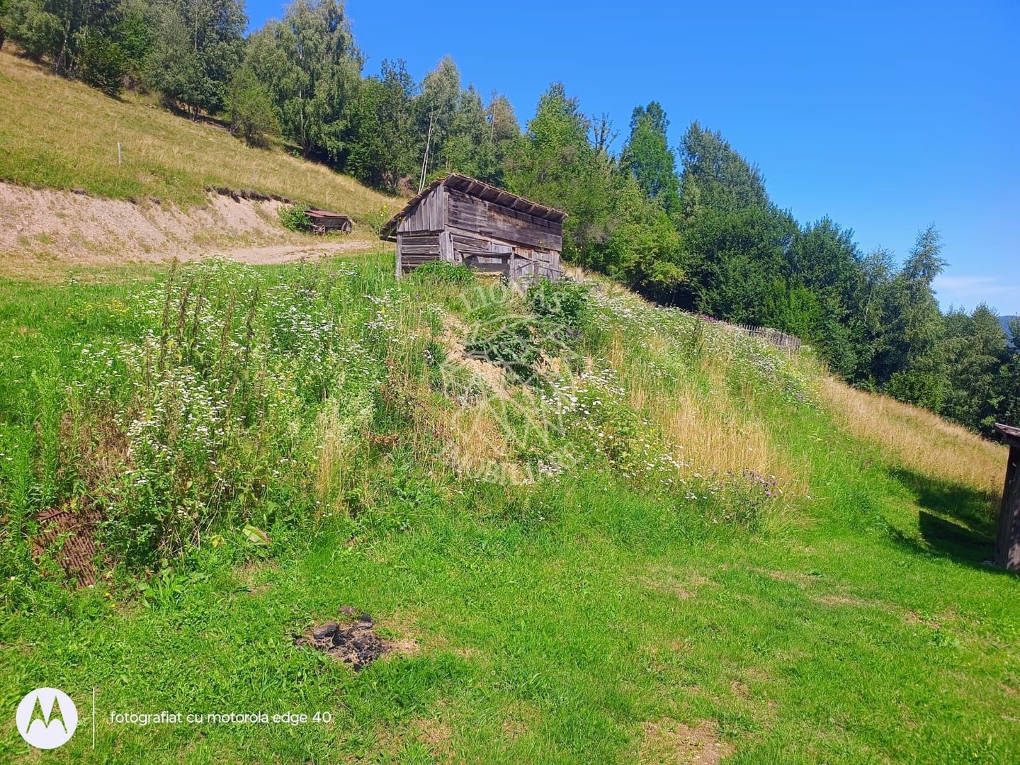 Teren extravilan investiție Rachitele Cluj - 31.555 mp - Poză 1