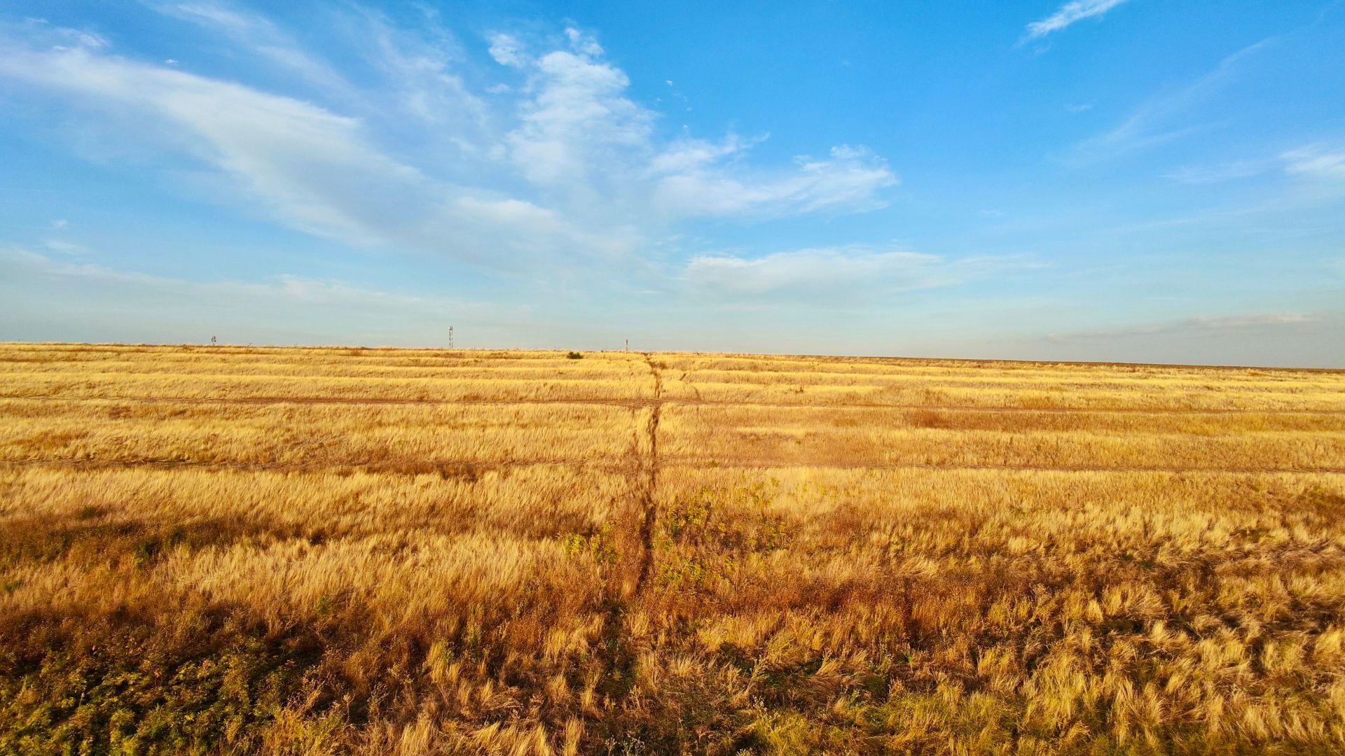 Teren Daia 75000 mp cu balta 30000 mp izvoare - Poză 3