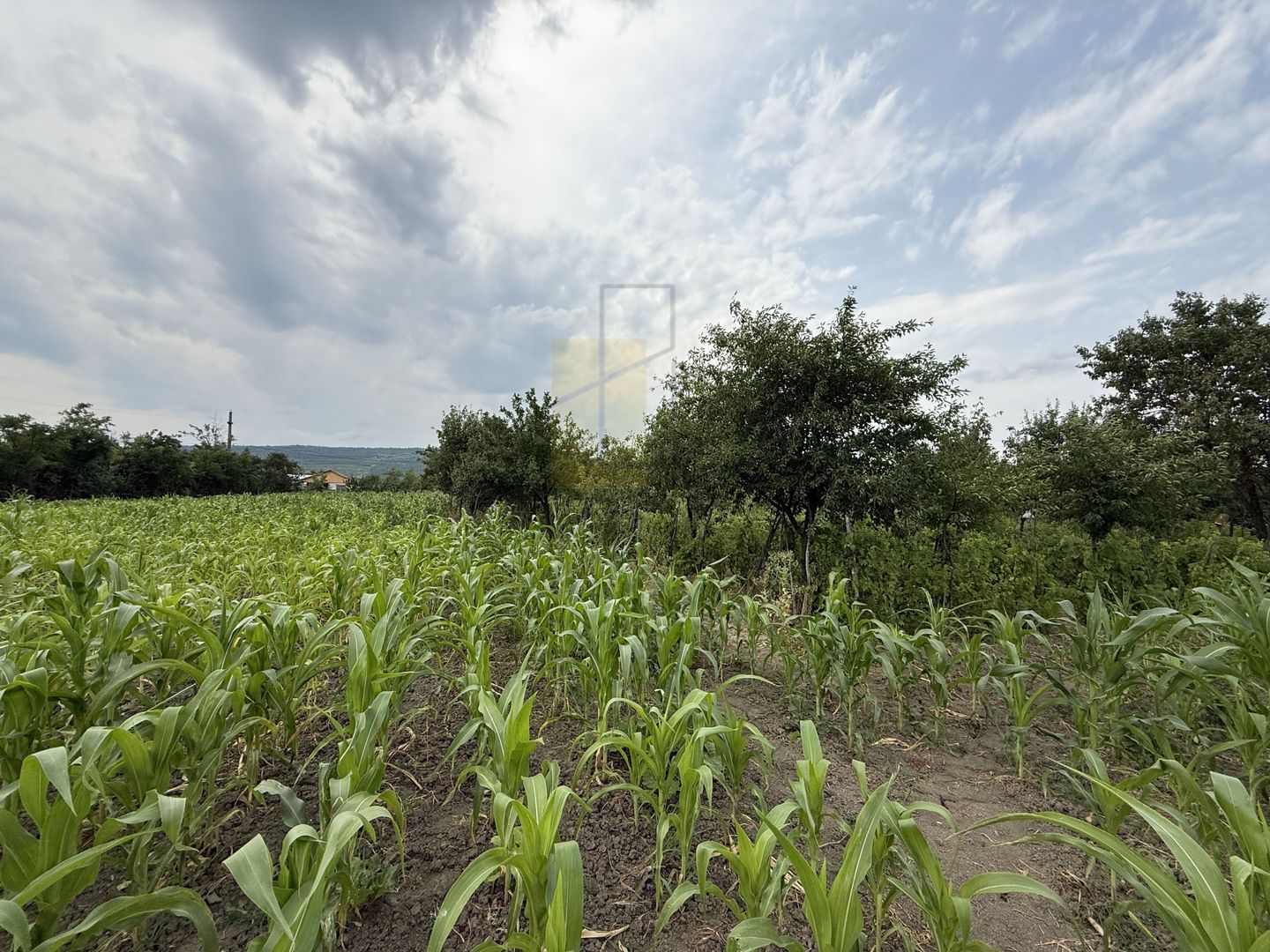 Casa batraneasca, 22 km de Iasi, 5546 mp teren, Osoi - Comarna - Poză 2