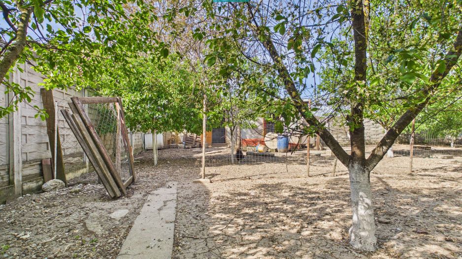 Casă retrasă Pișchia – 4 camere, teren 920 mp - Poză 64