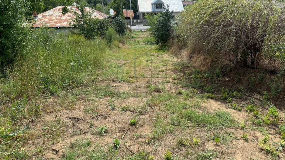 Teren in Goruni comuna Tomesti 12 km de rond Podu Ros - Poză 3
