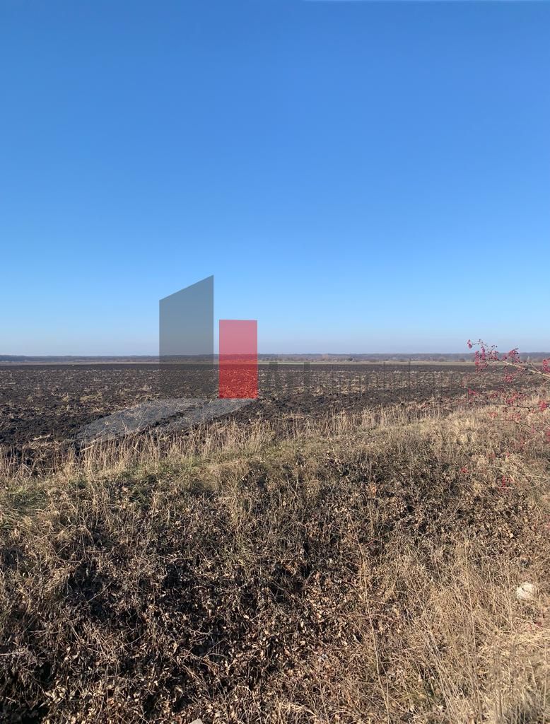 Vanzare  Teren 1500mp Tunari - Poză 2