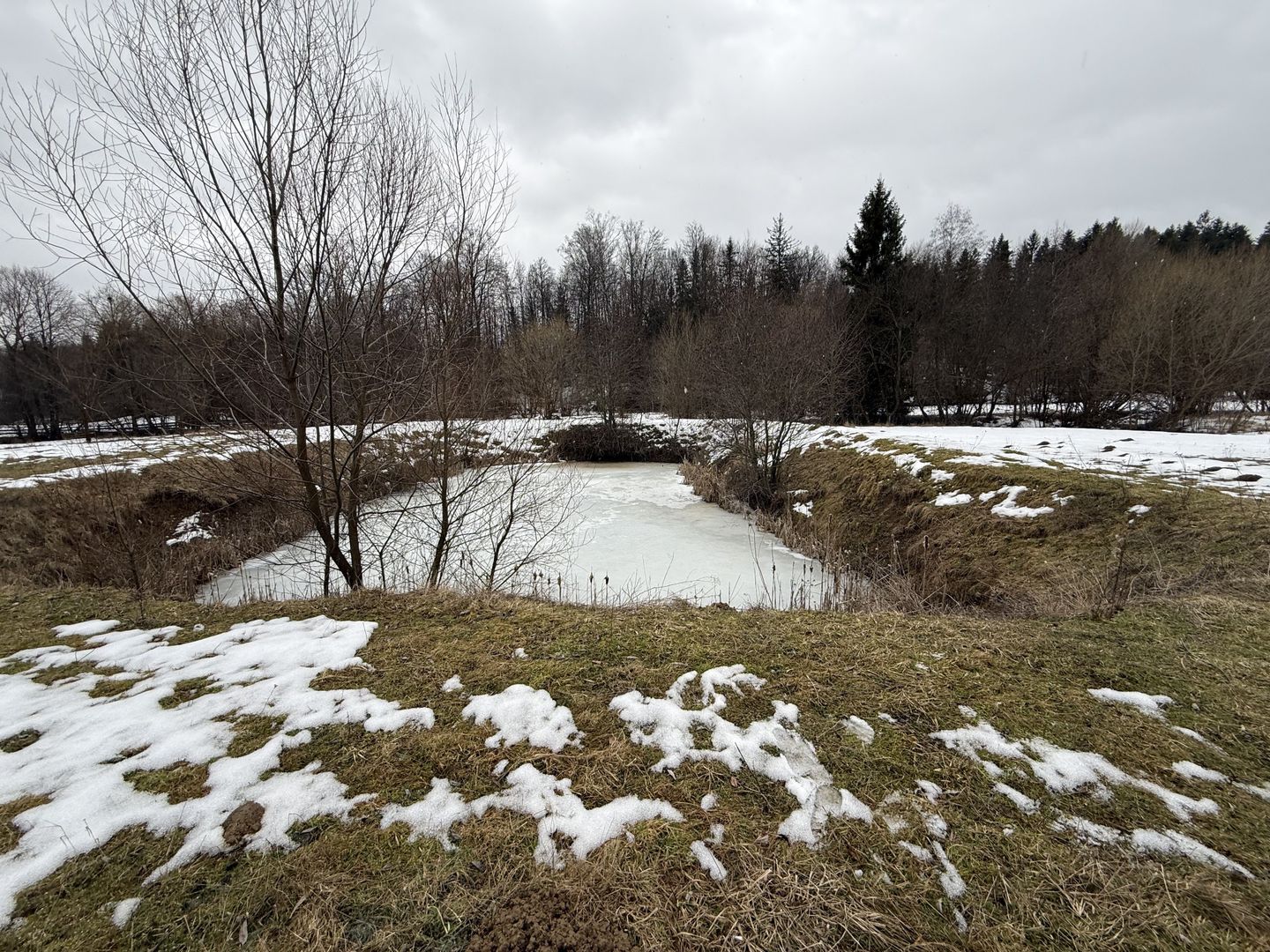 Teren extravilan | Horodnic De Sus | 3600MP - Poză 8