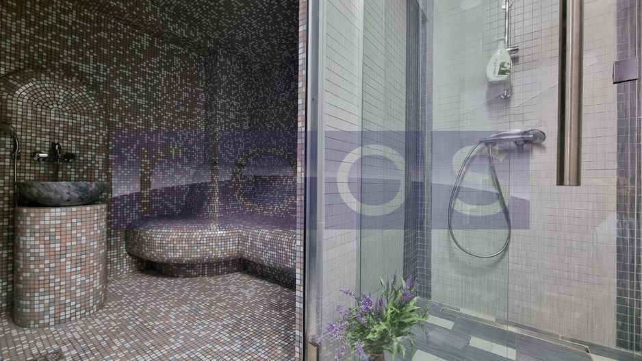 INCHIRIERE SPATIU COMERCIAL-2 VILE | ZONA MOGOSOAIA - Poză 70