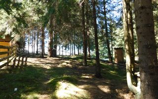 Casă de vacanta de vanzare, in Marisel, langa Cabana Motilor - Poză 18