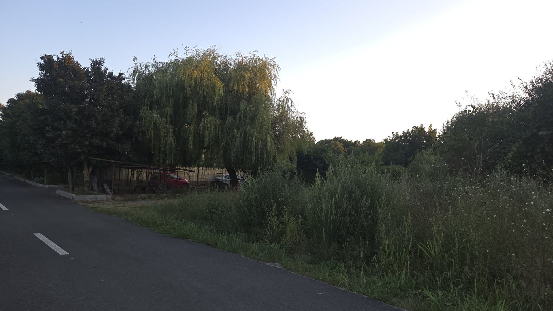 Teren intravilan 605 mp | Neptun – Comorova | Deschidere la șosea - Poză 7