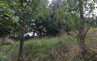 Casă de vânzare în Sfântu Ilie și teren 2000 mp - Poză 46