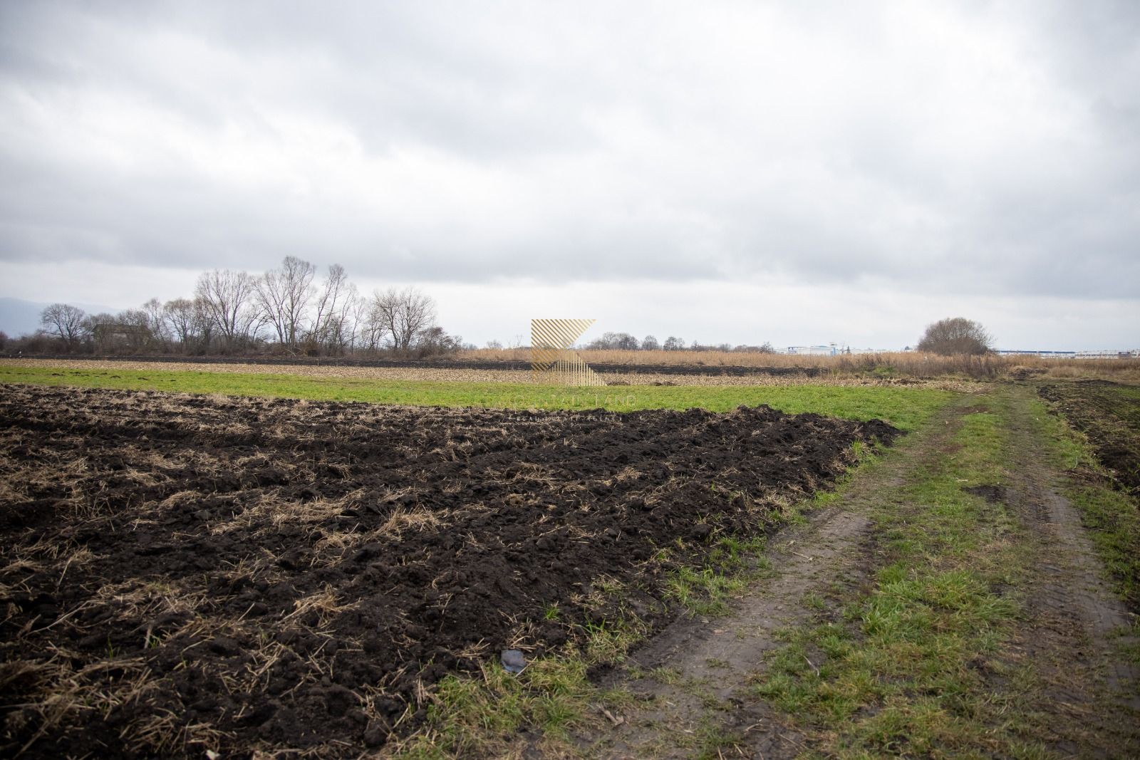 Lot de teren intravilan – 467 mp | Stupini, Strada Albinelor - Poză 6