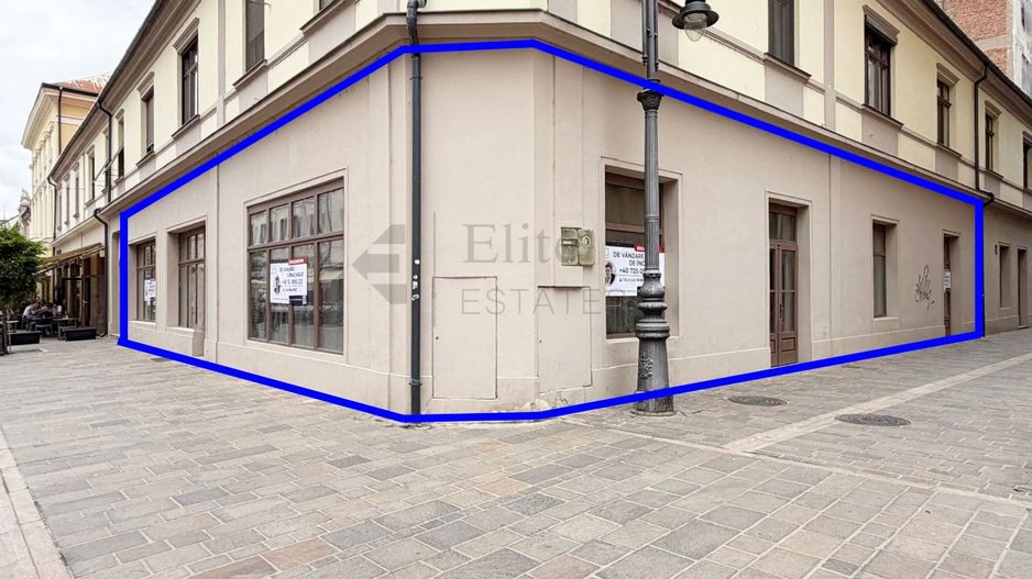 Spatiu Comercial Pietonala Vasile Alecsandri | 200 mp | Vitrina ampla - Poză 3