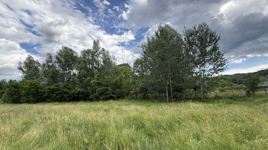 Teren plat-intravilan -3800 mp, cu pădurice și ieșire la râu! - Poză 9