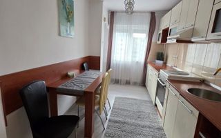 BRASADAS vinde ap 2 cam mobilat, utilat Careiului Micro 16. - Poză 5