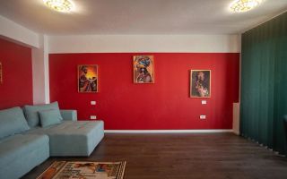 Apartament 1 cam Piata Marasti - Poză 3