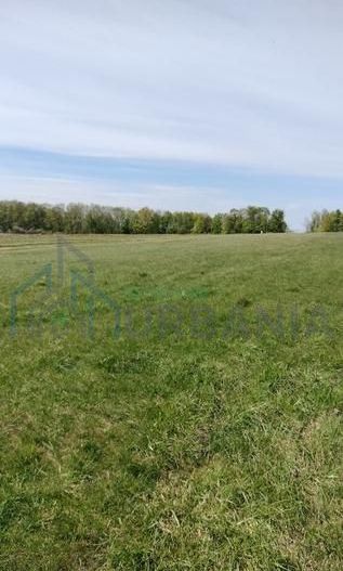 Teren extravilan 7.200 mp, Bordea - Grajduri, oportunitate investiție - Poză 10