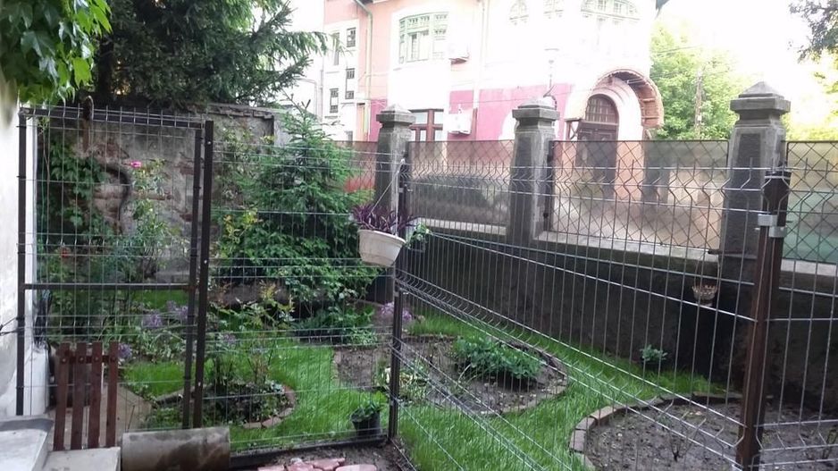 Casa Cotroceni | S+P+ET+POD | teren 188 mp - Poză 4