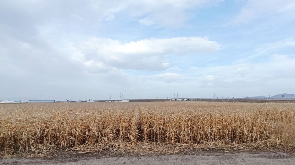 Teren intravilan industrial,str.Durau - Poză 5