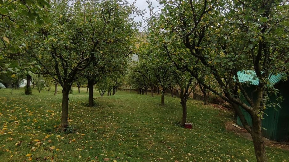 Proprietate deosebită | Casă P+E | Lunca Mare, Valea Doftanei - Poză 19