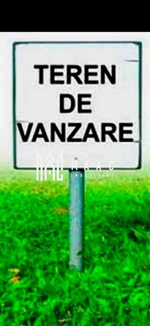 Teren extravilan | Industrial Vest | Investitie | Acces direct - Poză 2