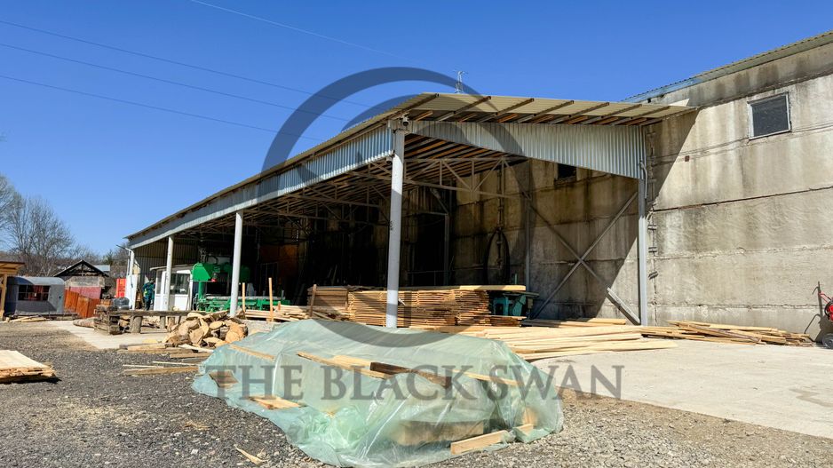 Teren 31.000 MP + Constructie 800 MP de vanzare | Valenii de Munte - Poză 14