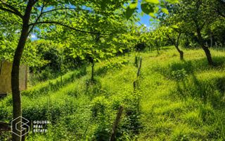 Teren intravilan, 1159 mp, localitatea Ghioroc - Poză 2