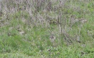 Teren extravilan de vanzare, Bucium, Iasi - Str. Boiangiu, vizavi de Carter Vile Teh Construct - Poză 5