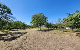 De vanzare teren 10.651mp intravilan, parcelabil, Oarda de Sus - Poză 8