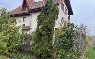 Teren Snagov de vanzare - Poză 4