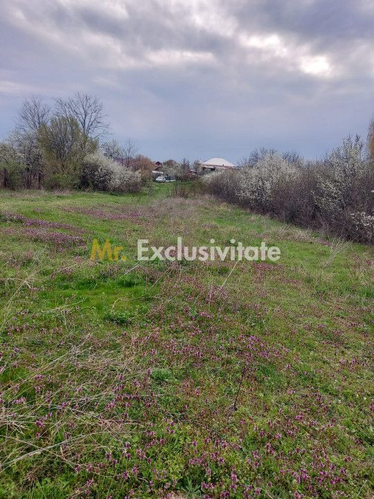 Teren Topoloveni - 3670 mp - langa padure, aproape de Centrul orasului - Poză 5