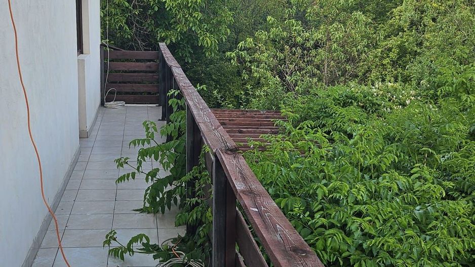 Vila 8 camere Dascalu - Poză 18