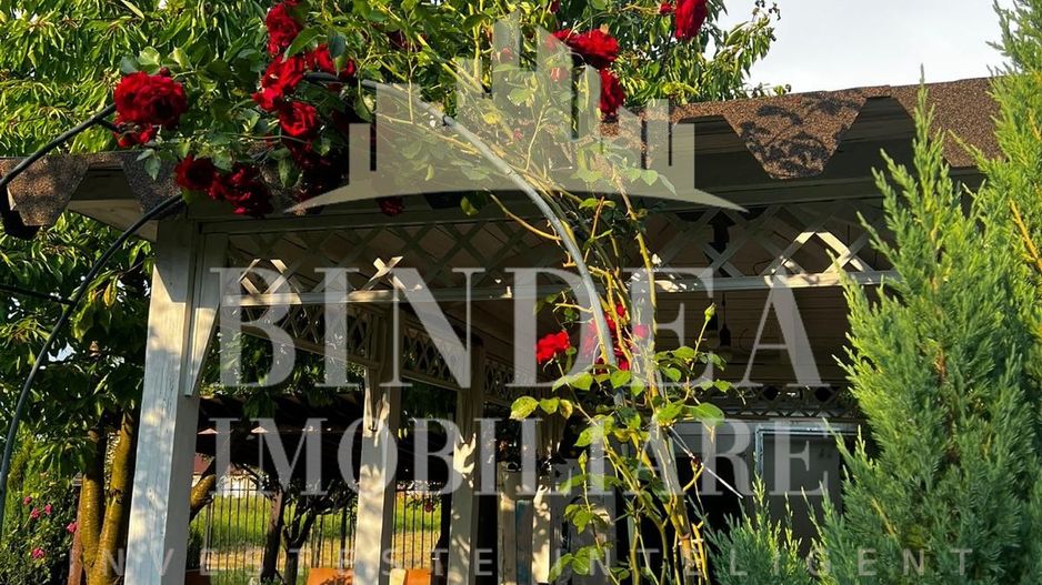 Teren intravilan imprejmuit, vegetatie matura 1200mp Sag Manastire - Poză 9