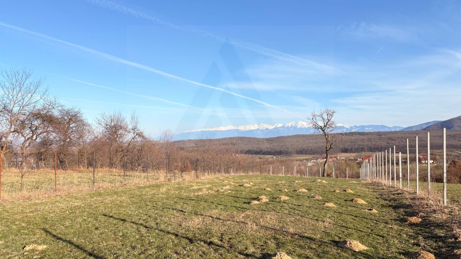 Teren intravilan 809 mp de vânzare – Tropinii Noi-Sibiu - Poză 7