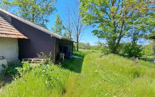 CASA TARANEASCA | TEREN 3000 MP | DESCHIDERE 52 M | COMUNA CIOLANESTI - Poză 6
