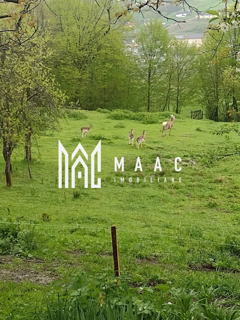 Casa Vantului si 8000 metri patrati in Abrud - Poză 11