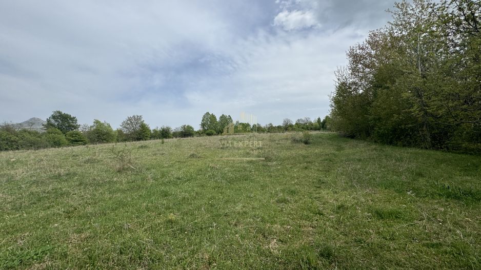 TEREN INTRAVILAN, 7472 MP, VALEA MARE PRAVAT, ARGES - Poză 1