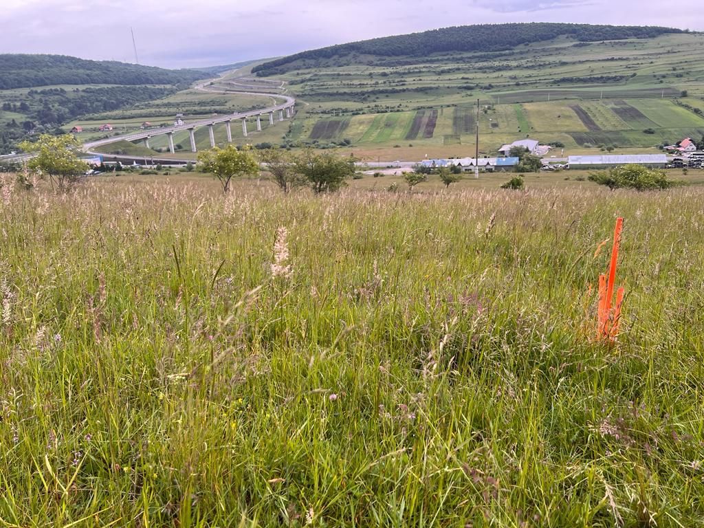 Teren in Valcele - Poză 7