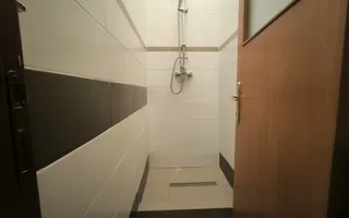 Spatiu Comercial Micalaca, Malul Muresului, zona 300 vizavi UAV - Poză 15