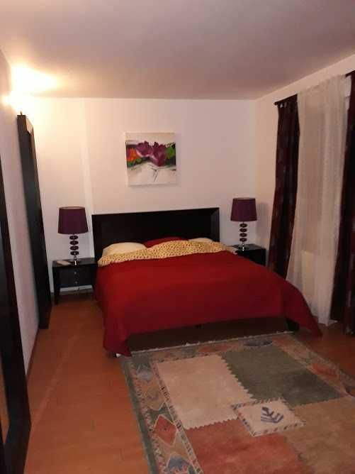 Vila de vanzare - zona Iancu Nicolae -  Serban Cantacuzino - Poză 5