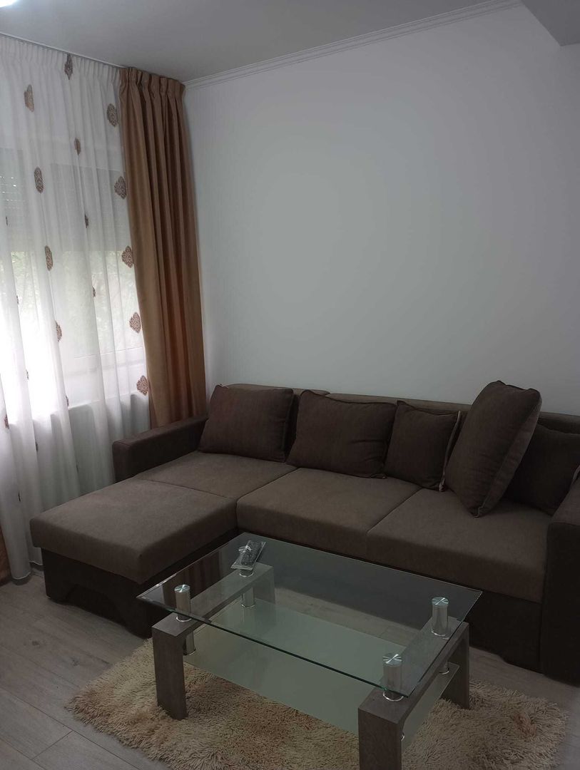 Sagului | 1 Camera | Centrala Proprie | Mobilat si utilat. - Poză 3