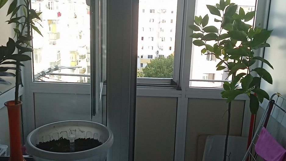 Vânzare apartament 2 camere Șos. Giurgiului - Colegiul Energetic - Poză 10
