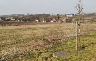 teren intravilan Colina Noua