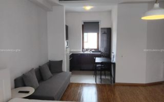 Garsonieră spațioasă de închiriat | Herăstrău - Poză 1