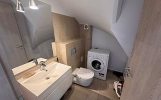 Vila Volutari 5 Camere Matei Millo - Poză 5