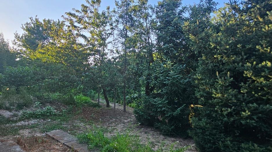 Casă / Vilă cu 8 camere de vânzare în Lapus, Craiova - Poză 7