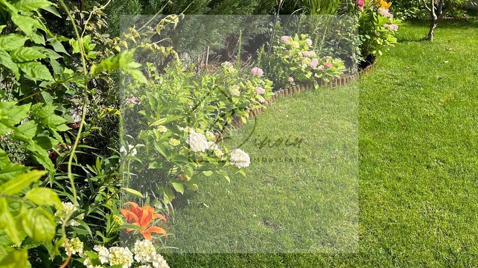 COM 0% I Vila Tunari Otopeni 50m pana la padure | teren 400mp | OCAZIE - Poză 15