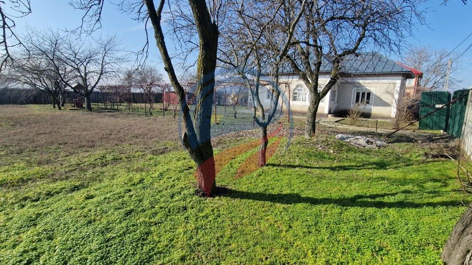 Casa Bradesti  teren  intravilan 7952 mp  deschidere 33 m la DE 70 - Poză 8